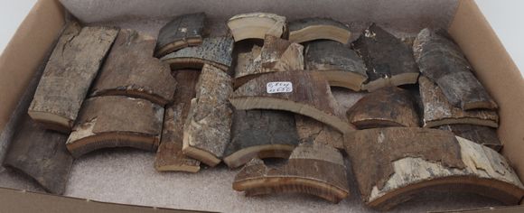 Untreated mammoth bark pieces