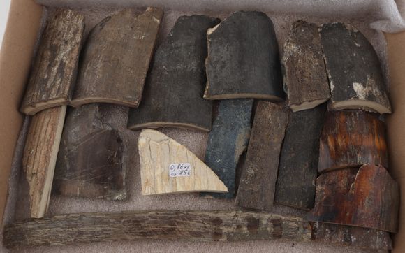 Raw mammoth bark pieces