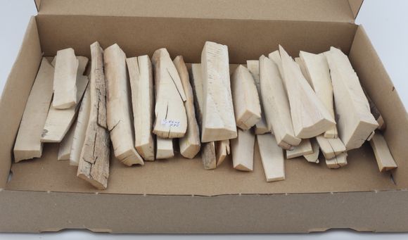 Raw mammoth ivory pieces