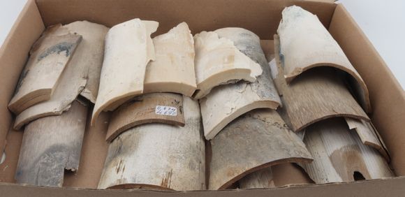 Untreated mammoth ivory pieces