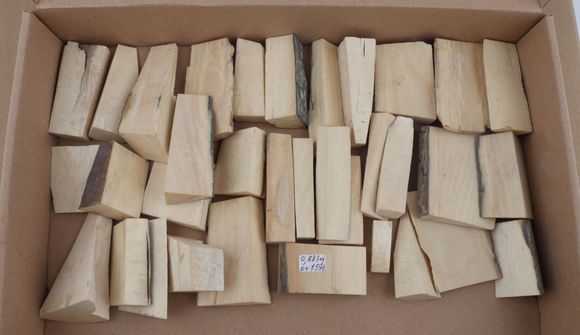 White mammoth ivory pieces