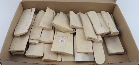White mammoth ivory offcuts