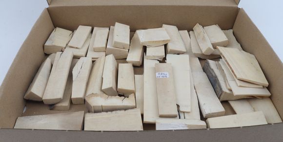 Untreated mammoth ivory pieces