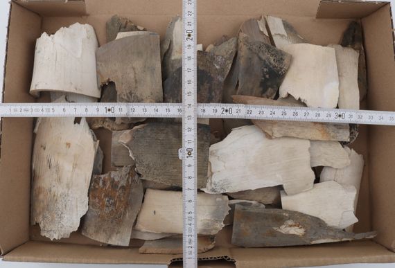 Raw mammoth ivory offcuts