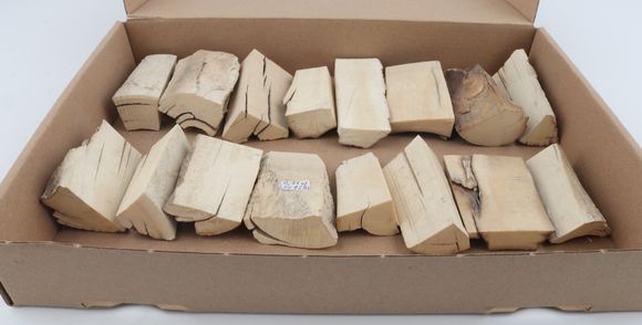 Raw mammoth ivory pieces