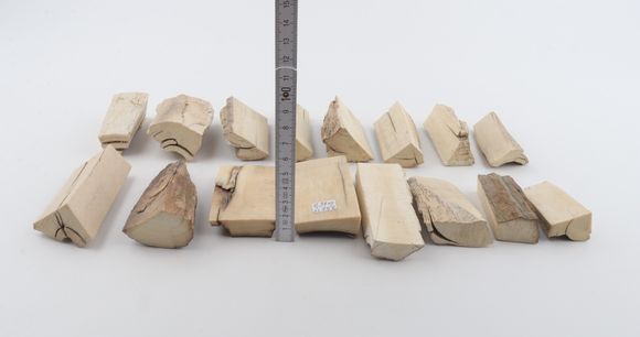 Raw mammoth ivory pieces