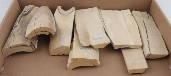 White mammoth ivory pieces