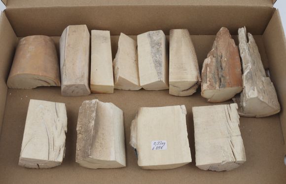 Untreated mammoth ivory pieces