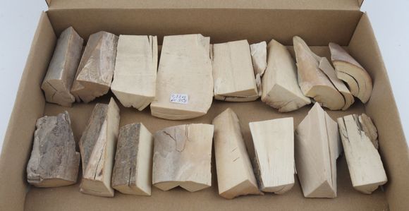 Raw mammoth ivory offcuts