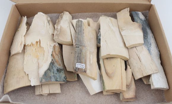 Untreated mammoth ivory offcuts