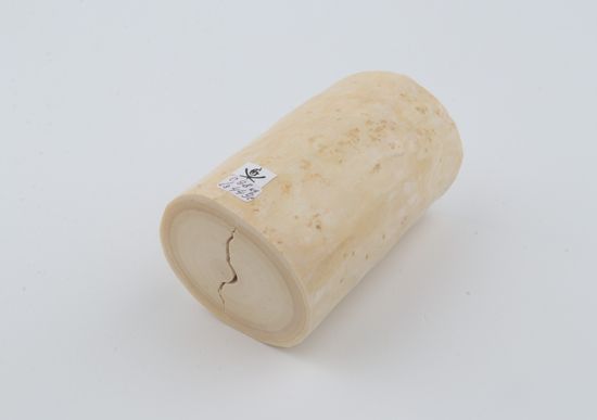 Round mammoth tusk piece