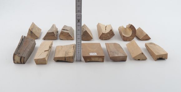 Untreated mammoth ivory pieces