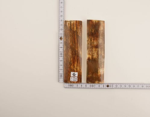 Brown-orange natural mammoth bark scales