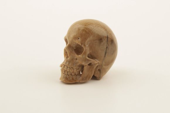 Brown mammoth ivory skull
