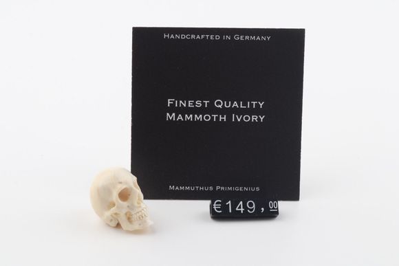Hand carved mammoth ivory skull