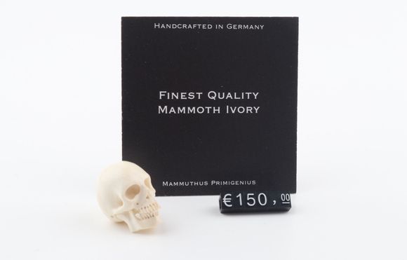 Hand carved mammoth ivory skull