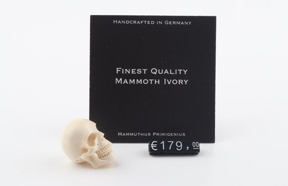 Hand carved mammoth ivory skull