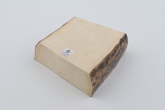 White mammoth ivory segment