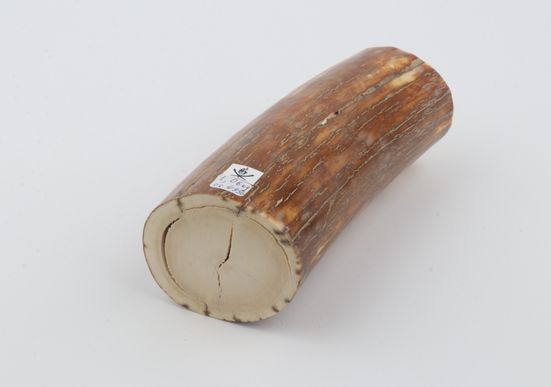 Natural mammoth ivory piece