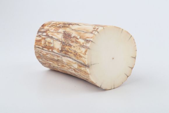 Round mammoth ivory piece