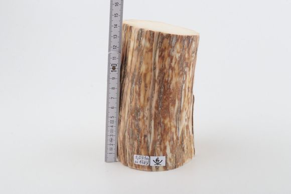 Round mammoth ivory piece