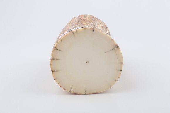 Round mammoth ivory piece