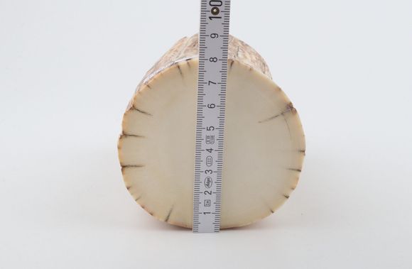 Round mammoth ivory piece