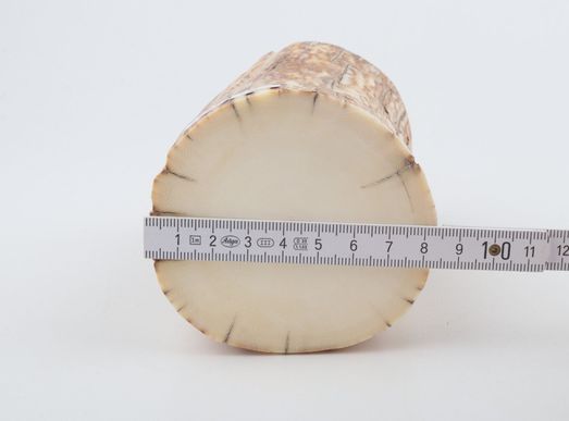 Round mammoth ivory piece