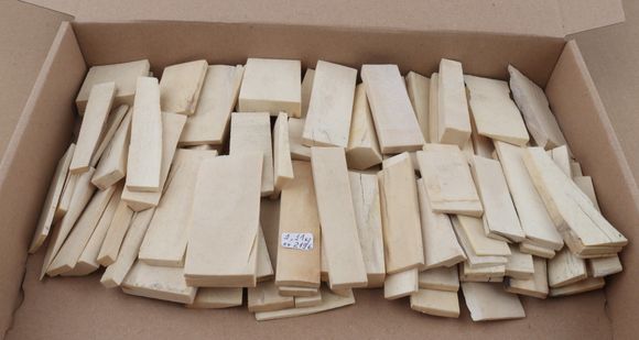 White mammoth ivory pieces