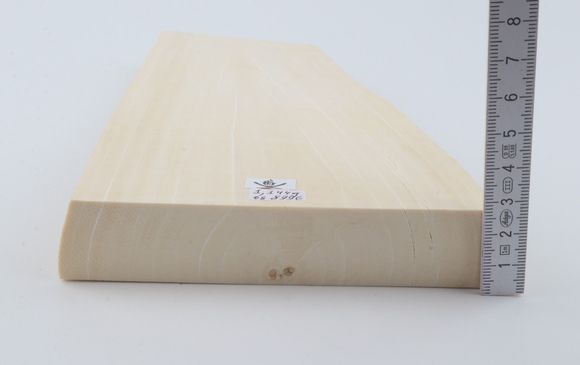 White mammoth ivory segment