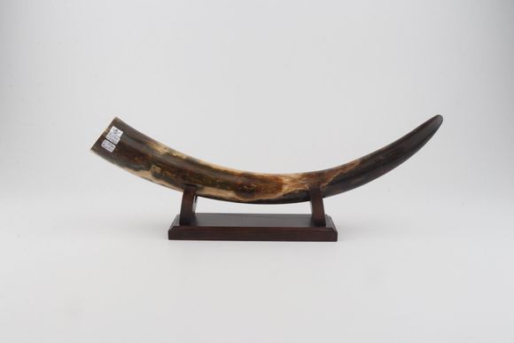 Restored mammoth tusk tip