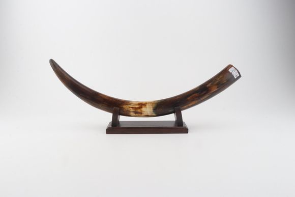 Restored woolly mammoth tusk