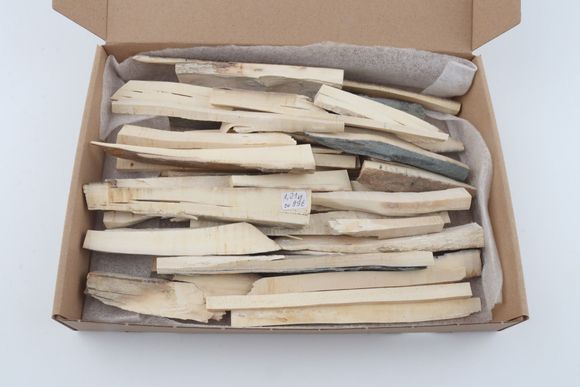 Natural mammoth ivory offcuts