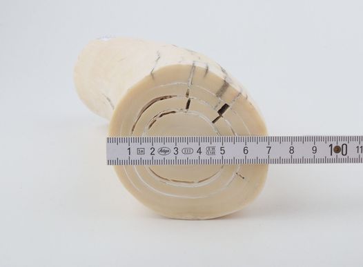 Round mammoth ivory piece