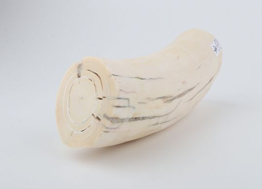 Round mammoth ivory piece