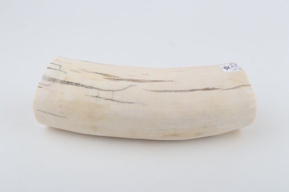 Round mammoth ivory piece