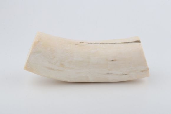 Round mammoth ivory piece