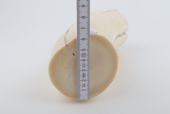 Round mammoth ivory piece