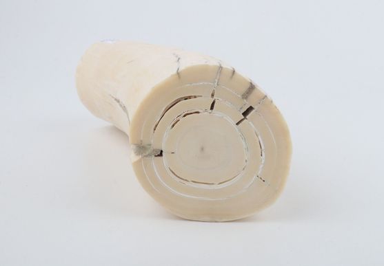 Round mammoth ivory piece