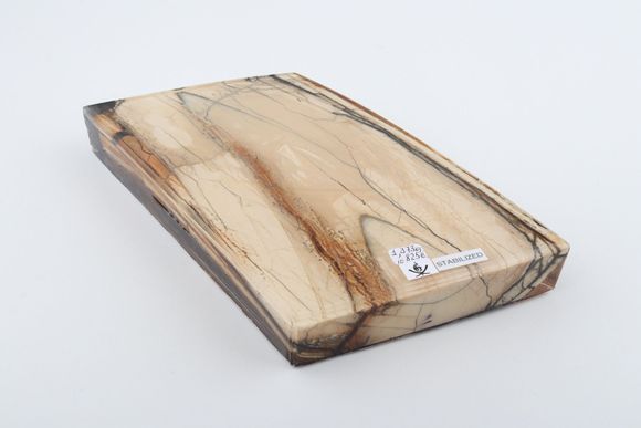 Stabilized mammoth ivory slab