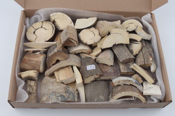 Natural mammoth ivory offcuts