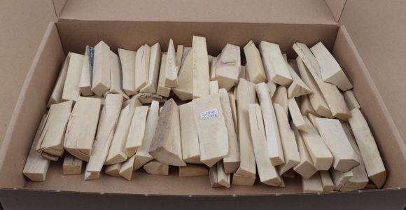 White mammoth ivory pieces
