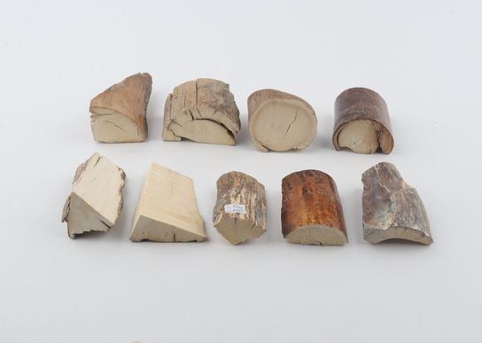 Natural mammoth ivory pieces
