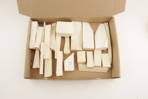 White mammoth ivory pieces