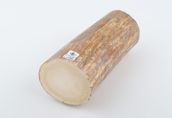 Round mammoth tusk piece