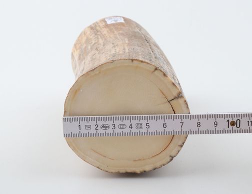 Round mammoth tusk piece