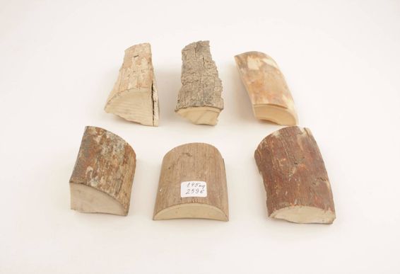 Raw mammoth ivory pieces