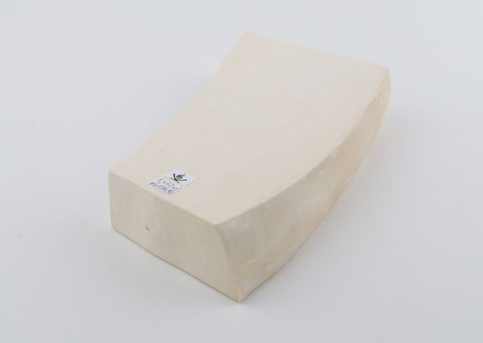 White mammoth ivory segment