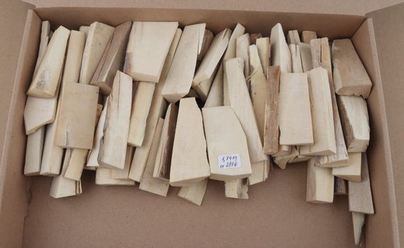 White mammoth ivory offcuts