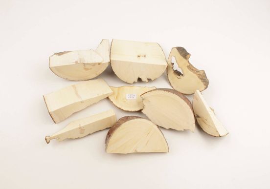 White mammoth ivory pieces